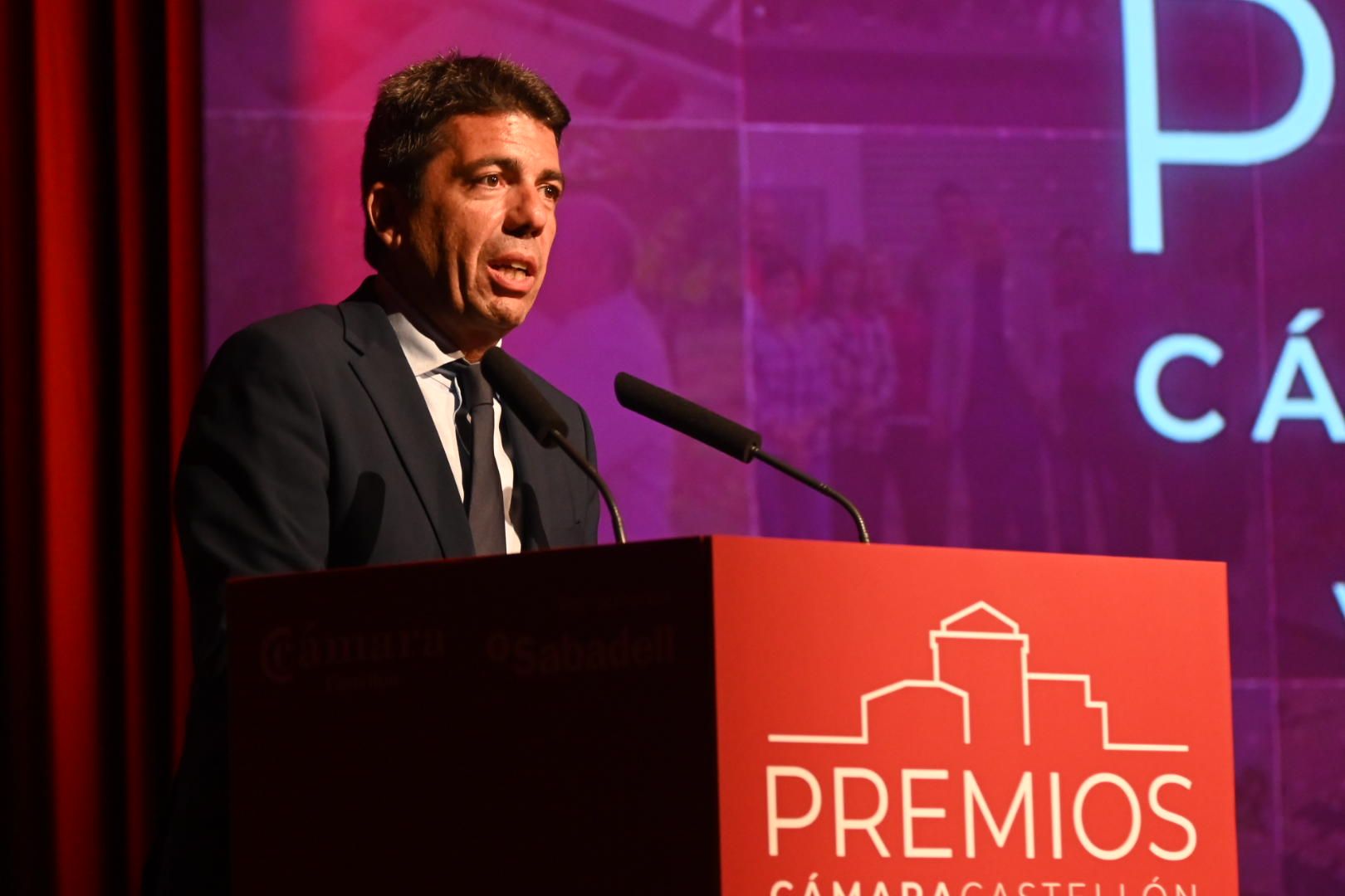 Galería: Entrega de los Premios de Cámara