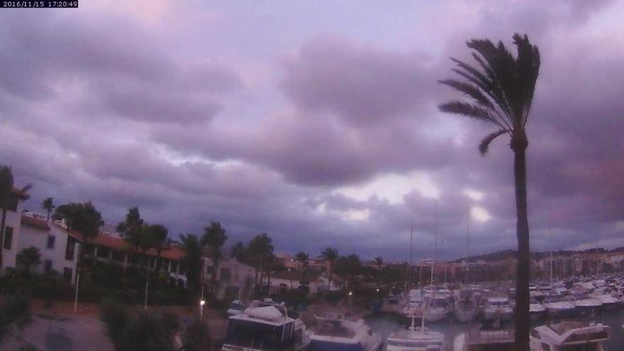 Port d&#039;Alcúdia am späten Dienstagnachmittag (15.11.): Der Wind weht durch die Palmblätter.