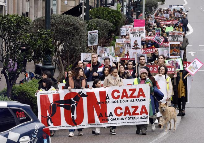 Cientos de personas se manifiestan en Vigo contra la caza: «Los ...