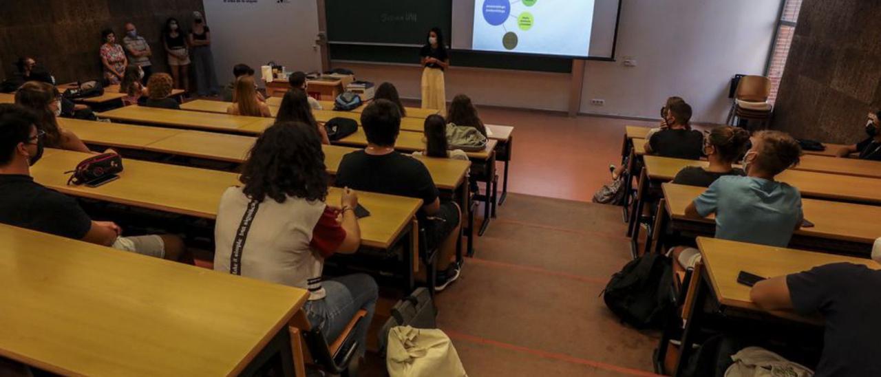 Estudiantes de la UMH, en una clase del presente curso. | ANTONIO AMORÓS