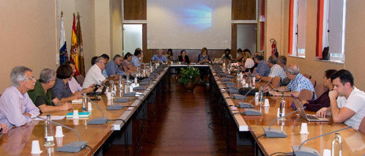 Reunión del Consejo de Gobierno de la ULPGC presidido por la rectora accidental Trinidad Arcos.