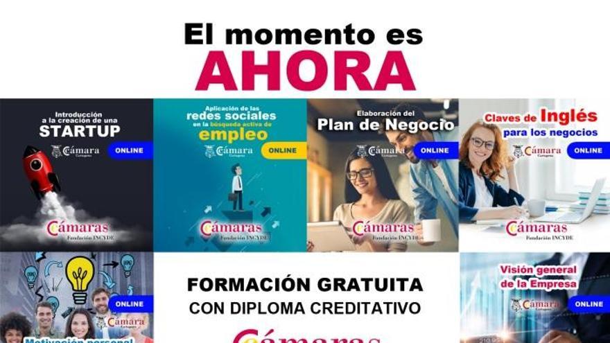 12 cursos online y gratuitos de la Cámara de Comercio de Cartagena - La  Opinión de Murcia