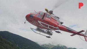 Cómo trabajan los equipos de bomberos de montaña para rescates