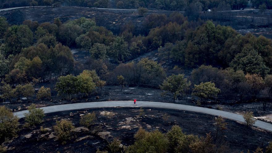 Dos de cada tres delitos contra el medio ambiente en Ourense son incendios forestales