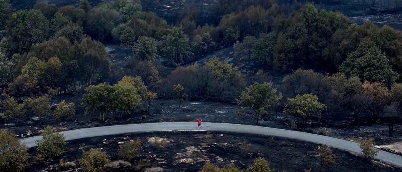 Monte arrasado por un incendio forestal en Cualedro, en 2020. // BRAIS LORENZO