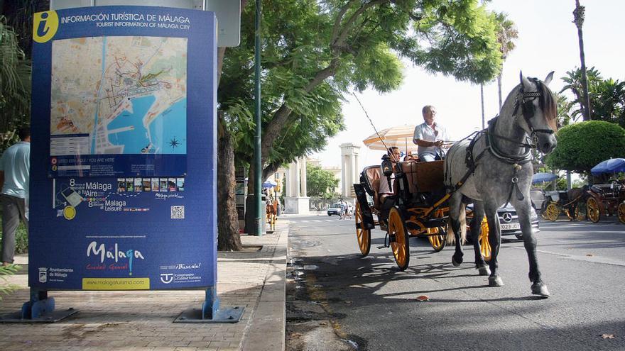 Un coche de caballos durante un paseo turístico.