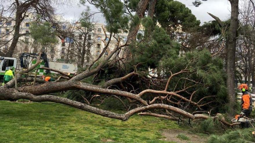 El parque del Retiro permanecerá cerrado una semana más