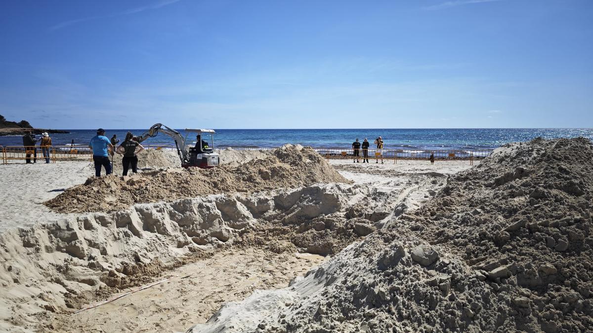Memoria histórica de Mallorca: Abren las fosas de la playa de sa Coma en busca de los milicianos del desembarco de Bayo