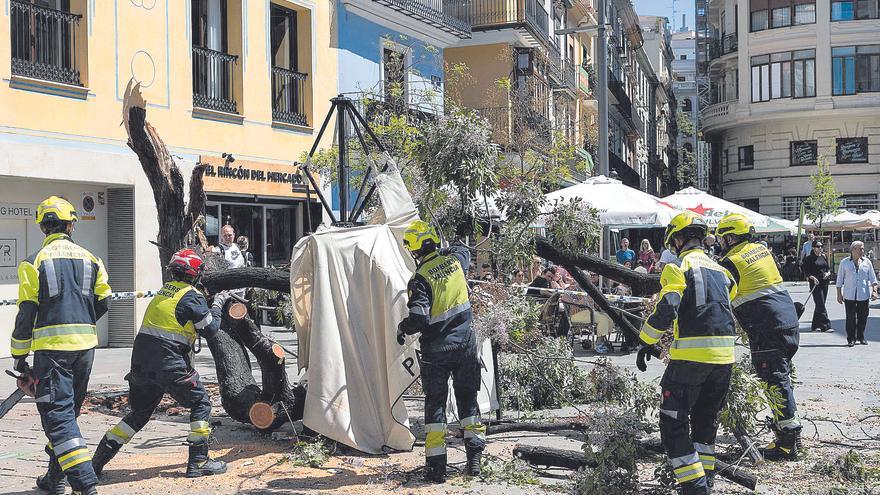 Más de 15.000 árboles en València están expuestos al colapso por los efectos del cambio climático