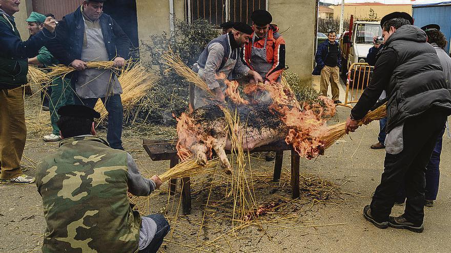 Matanza del cerdo en una población alistana.