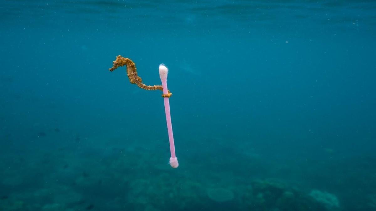 El océano se encuentra contaminado