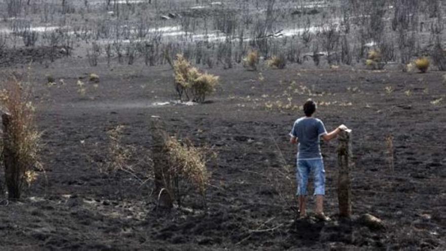 Los incendios azotan Castilla y León