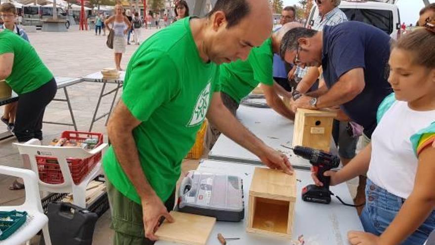 Vinaròs Taller para la fabricación y montaje de cajas nido