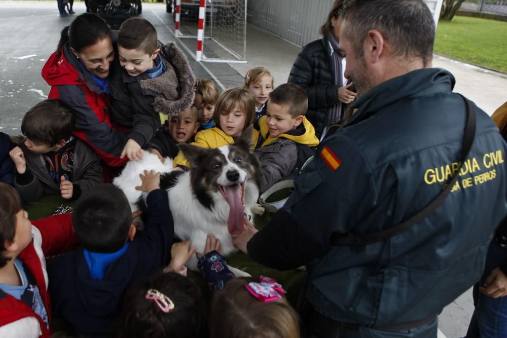 La Guardia Civil realiza una exhibición en el Jacinto Benavente