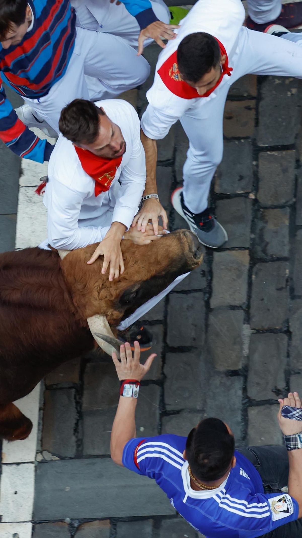 Quinto encierro de San Fermín con toros de Jandilla
