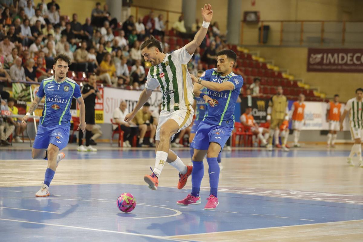 El Córdoba Futsal - Viña Albali Valdepeñas, en imágenes El Córdoba Futsal - Viña Albali Valdepeñas, en imágenes