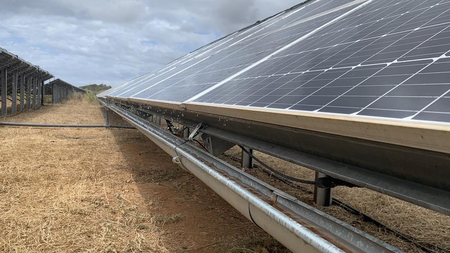 Las plantas solares y el sector agrícola comparten el uso del suelo