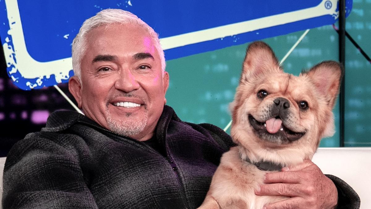 Así es la nueva vida de César Millán, obviamente con los perros muy presentes