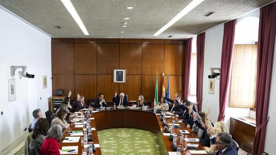 El Parlamento andaluz aprueba ayudas para las familias de víctimas del accidente de Adamuz