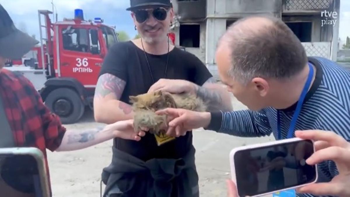 Frame del rescate de un gato.