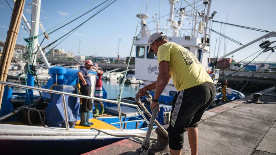 Tenerife aporta 300.000 euros para salvar la pesca del atún
