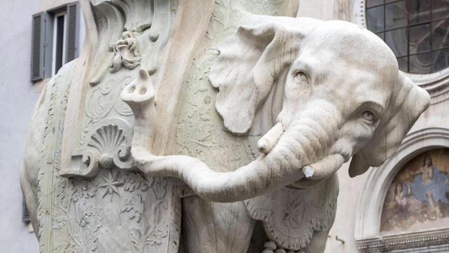 Detalle de la estatua del elefante de Gian Lorenzo Bernini.