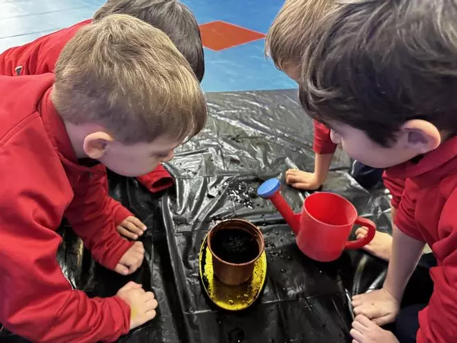 Proyecto Corahuerto en el  colegio Corazón de María
