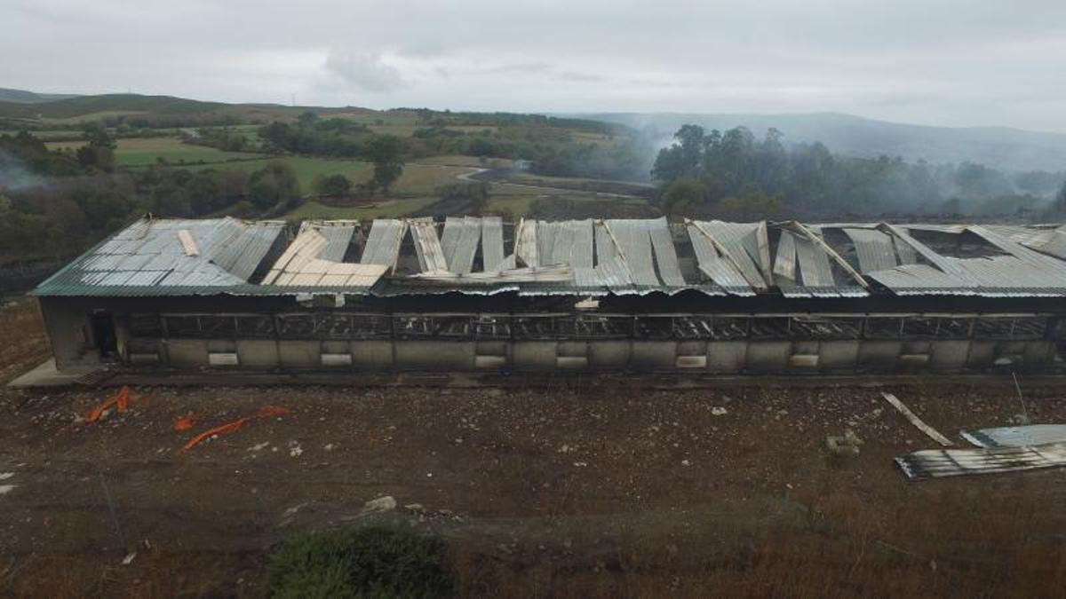 Una granja con 10.000 gallinas se quemó en Siador.