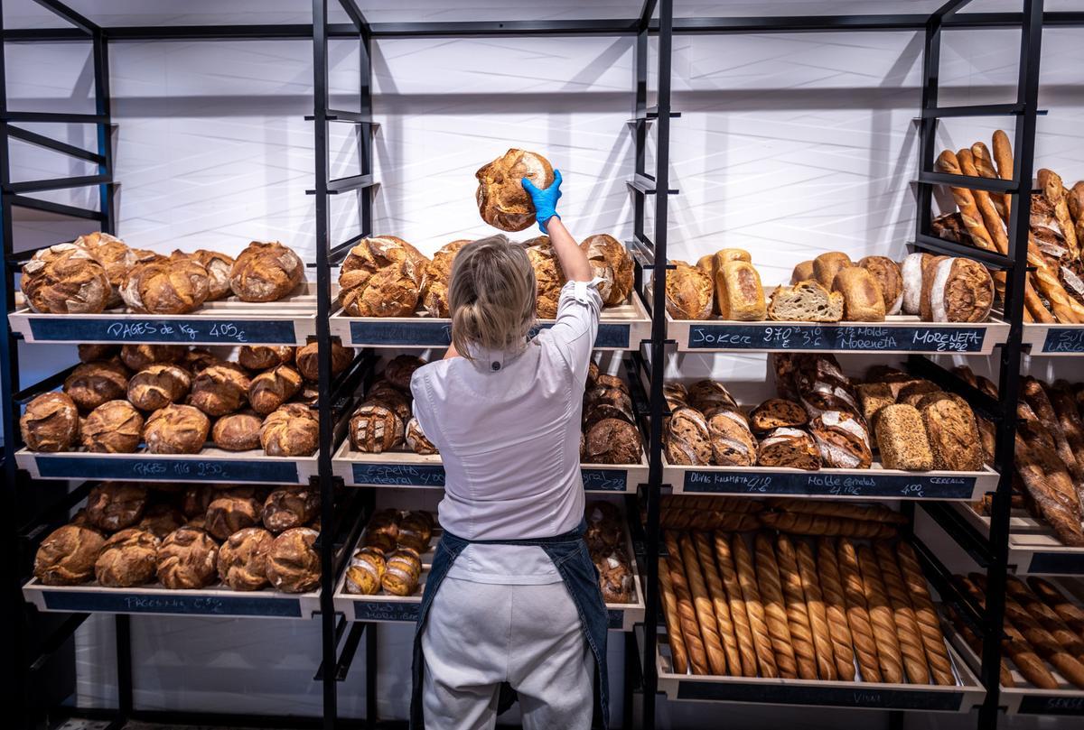 Distintos tipos de pan, incluido el payés premiado en 2022, en Montserrat Forners.