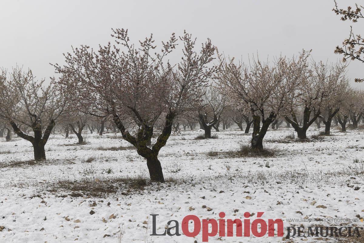 Descubre la última nevada del invierno en las proximidades de Revolcadores en Moratalla