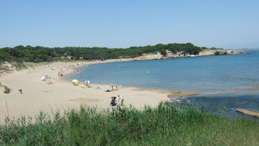 La platja del Rec del Molí.