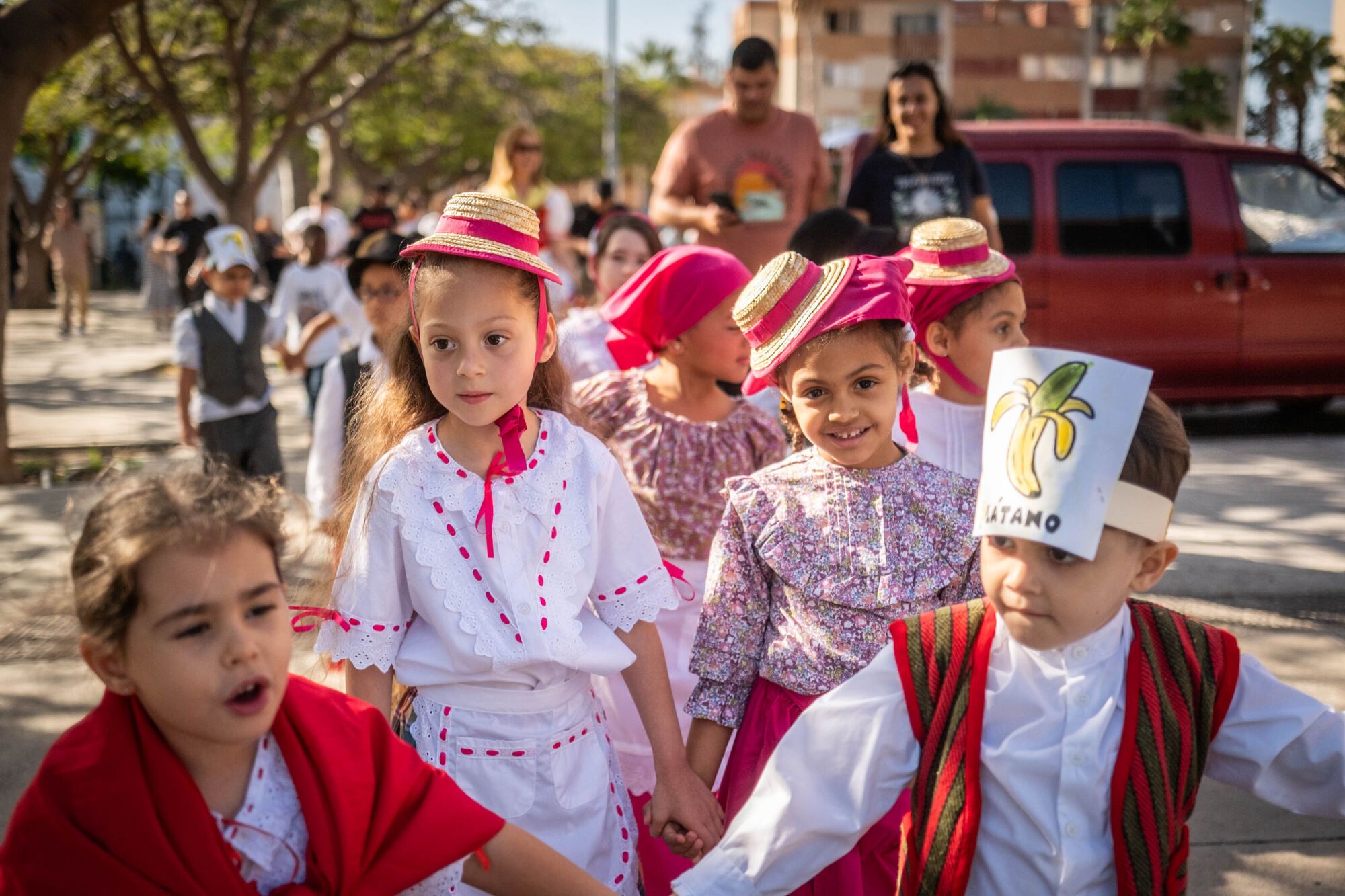 Paseo Romero del CEIP Los Dragos en Santa Cruz de Tenerife.