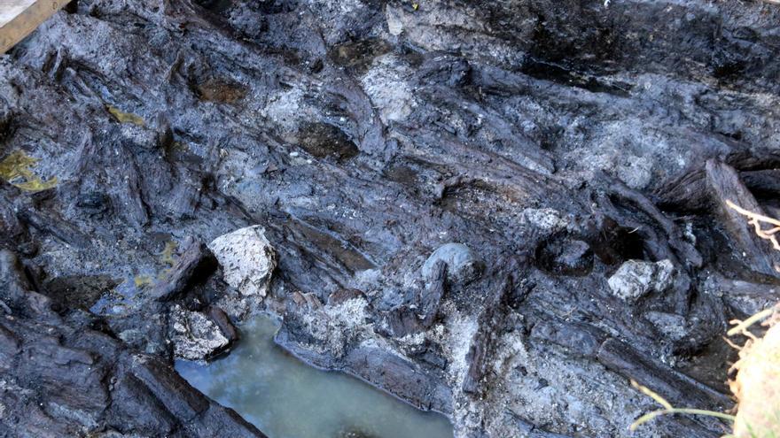 Les excavacions a la Draga de Banyoles localitzen restes de fusta de cabanes de fa 7.300 anys en un estat &quot;excepcional&quot;