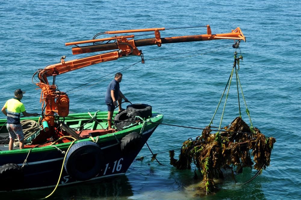 A Illa regenera varias zonas de su litoral