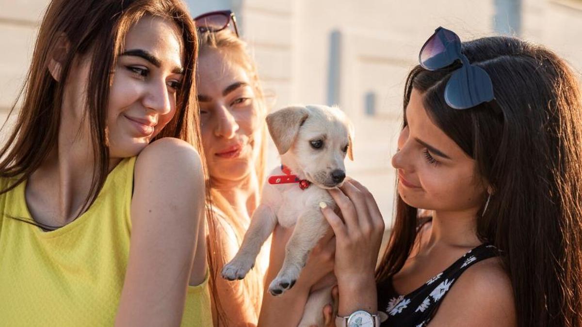 Què canvia en nosaltres quan tenim gossos?