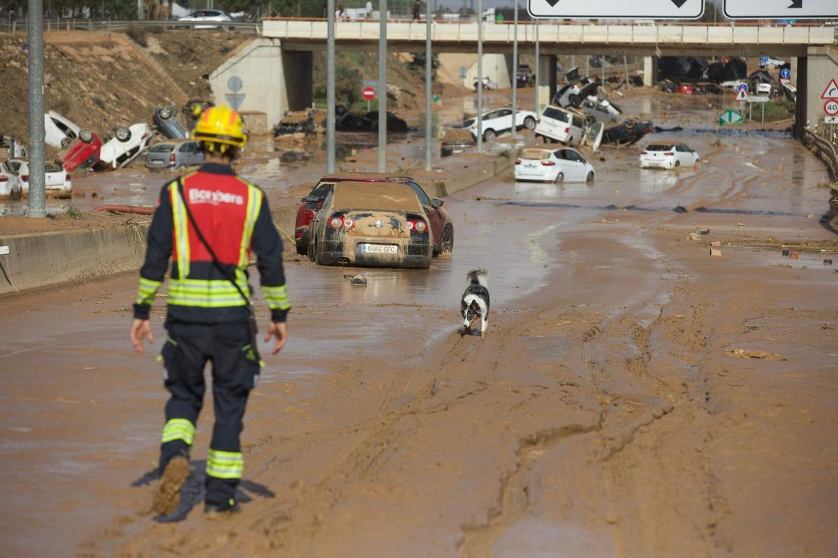 Así está la situación en Algemesí, Torrent y Paiporta tras el paso de la DANA