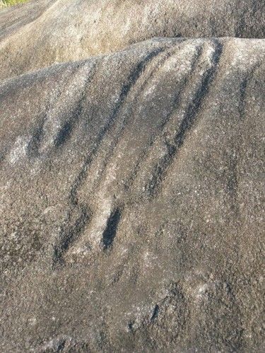 Petroglifos en Galicia: Arte sobre piedra en Campo Lameiro