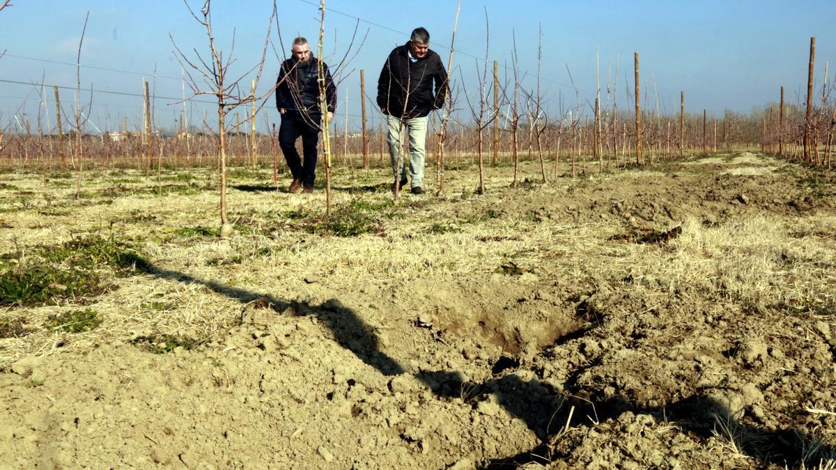 Terra remoguda per senglars mentre al fons el propietari de la finca, Josep Pujol, i el president d&#039;Asaja Lleida, Pere Roqué, analitzen els danys que la fauna salvatge ha provocat al camp