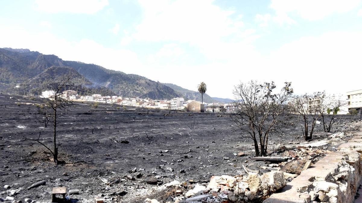 El juego arrasó unas 177 hectáreas de terrenos integrados en el entorno del Parque Regional de El Valle y Carrascoy