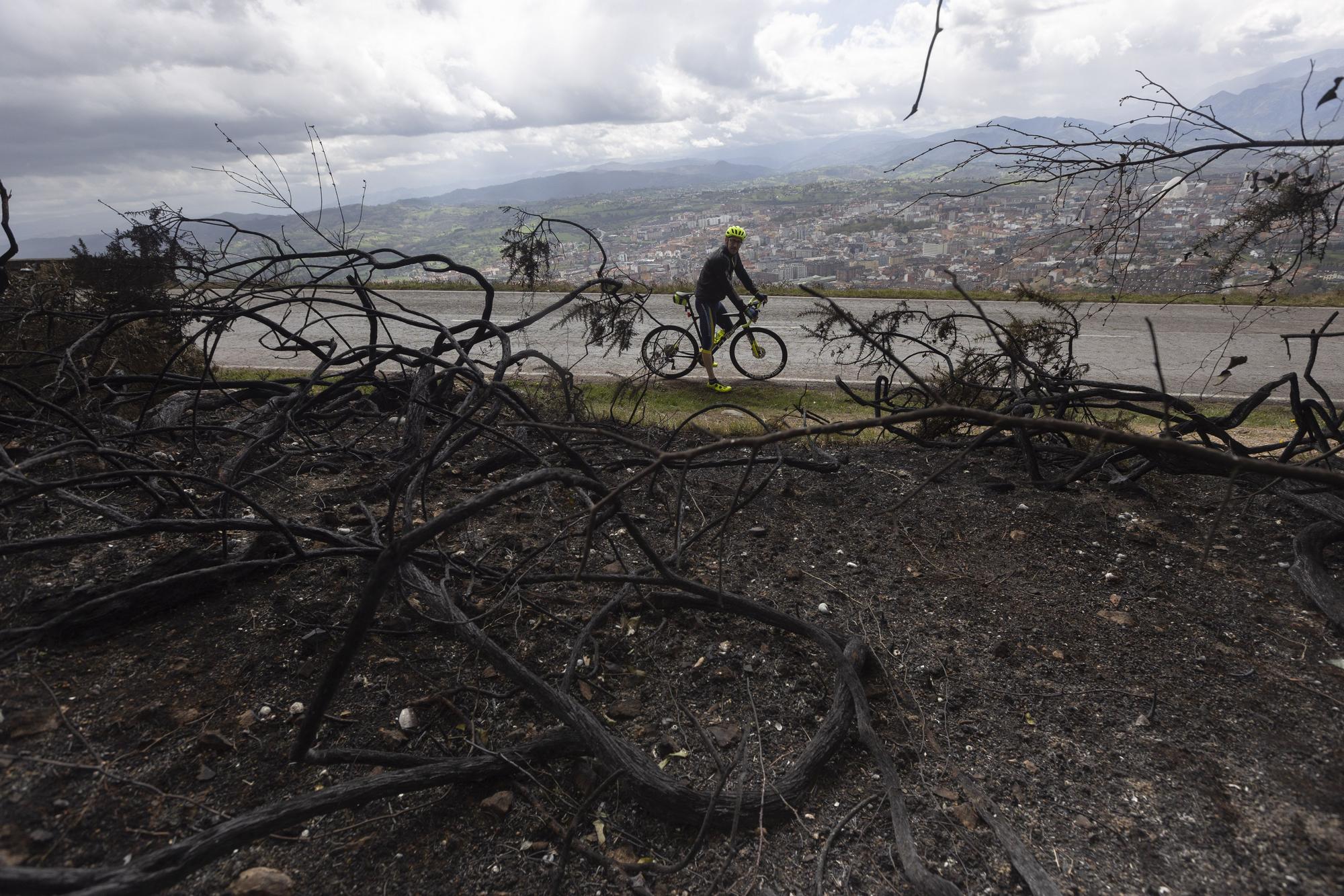 El Naranco, devastado por las llamas.