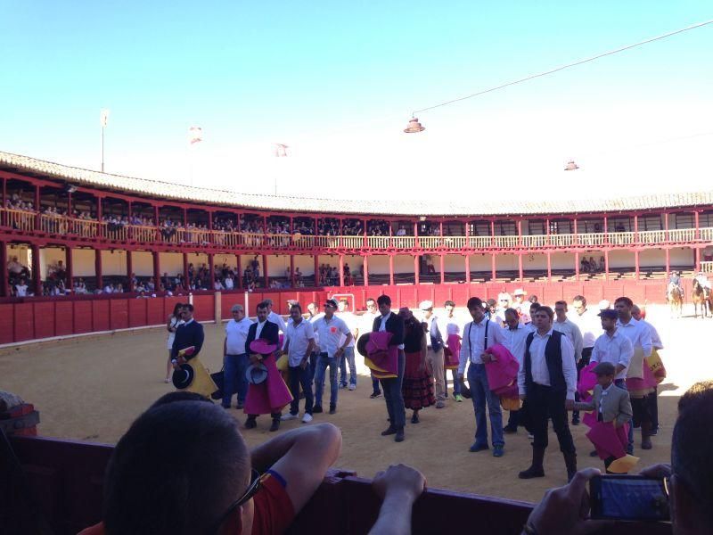 Fiestas en Toro | Becerrada de las peñas