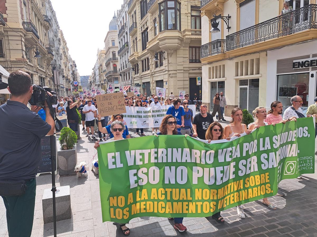 Un momento del paseo reivindicativo veterinario