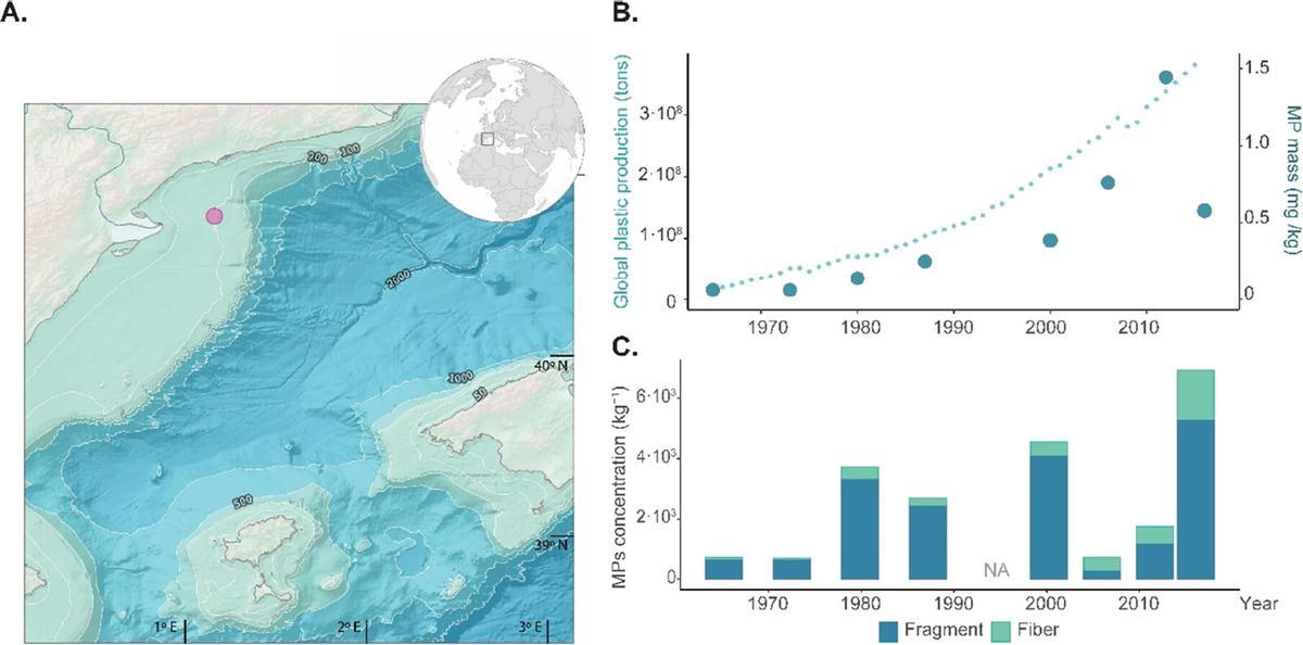 Evolución de los microplásticos en la zona investigada