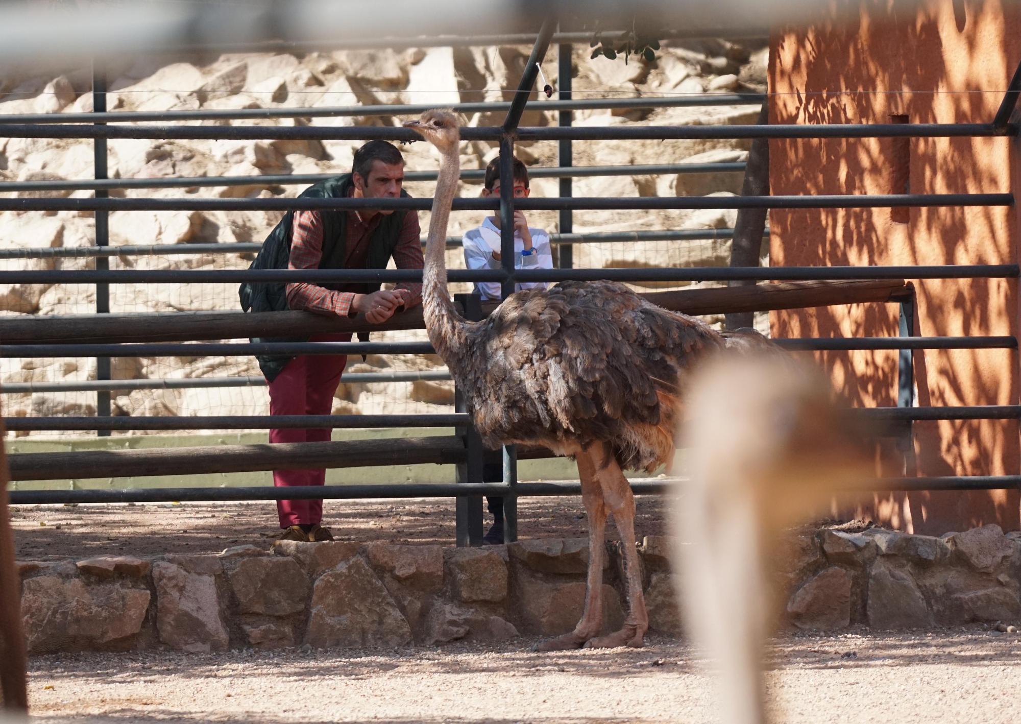 Día festivo en el Zoológico de Córdoba