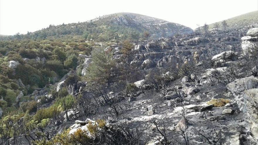 Permanece controlado y bajo vigilancia el incendio declarado cerca de Ordesa