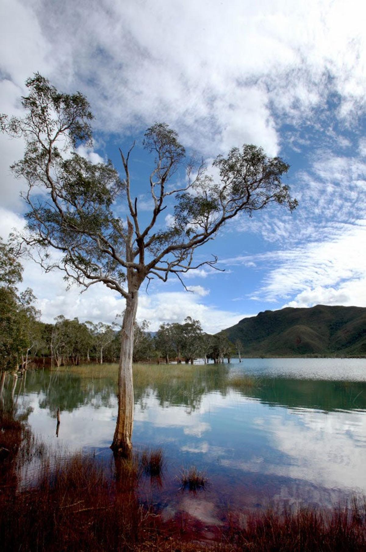 El archipiélago de Nueva Caledonia tiene paisajes tan espectaculares como el de este lago.