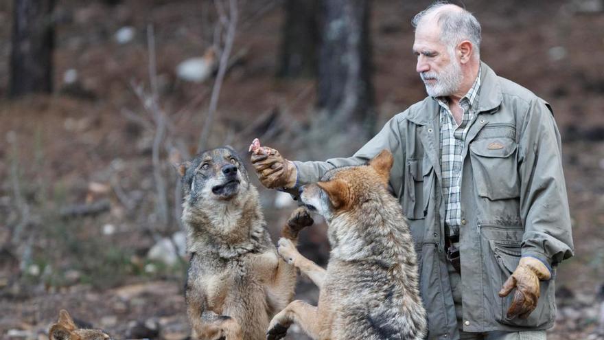 El último «hombre lobo» de España