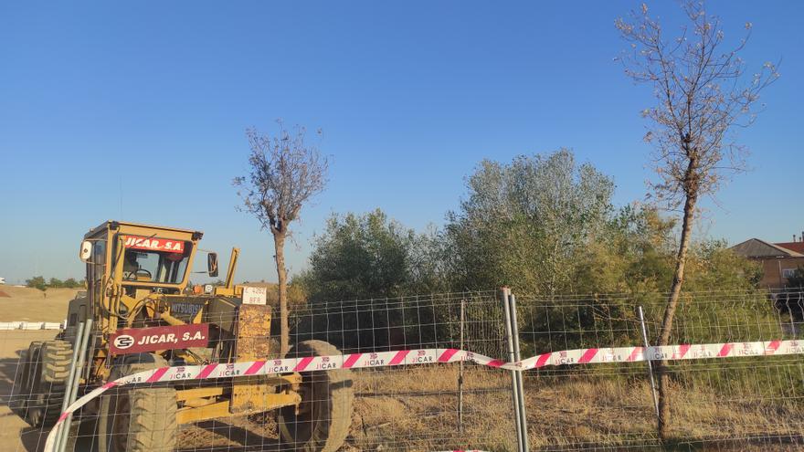 Denuncian que los árboles del parque de Levante vuelven a secarse por segunda vez