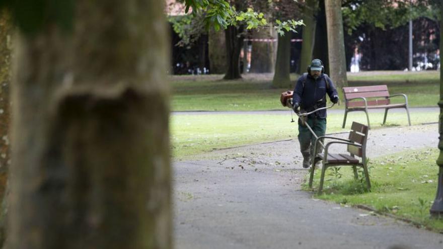 Un operario de jardinería realiza su labor en el parque Ferrera en un entorno con dos de los bancos que serán intervenidos. | LNE