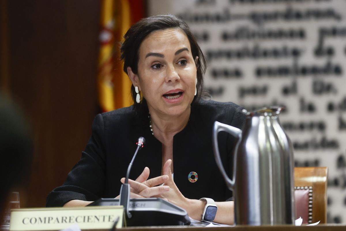 Imagen de archivo (31/05/2024) de Isabel Pardo de Vera, ex secretaria de Estado de Transportes, Movilidad y Agenda Urbana, en la comisión de investigación del caso Koldo del Senado. EFE/ Fernando Alvarado. Careto